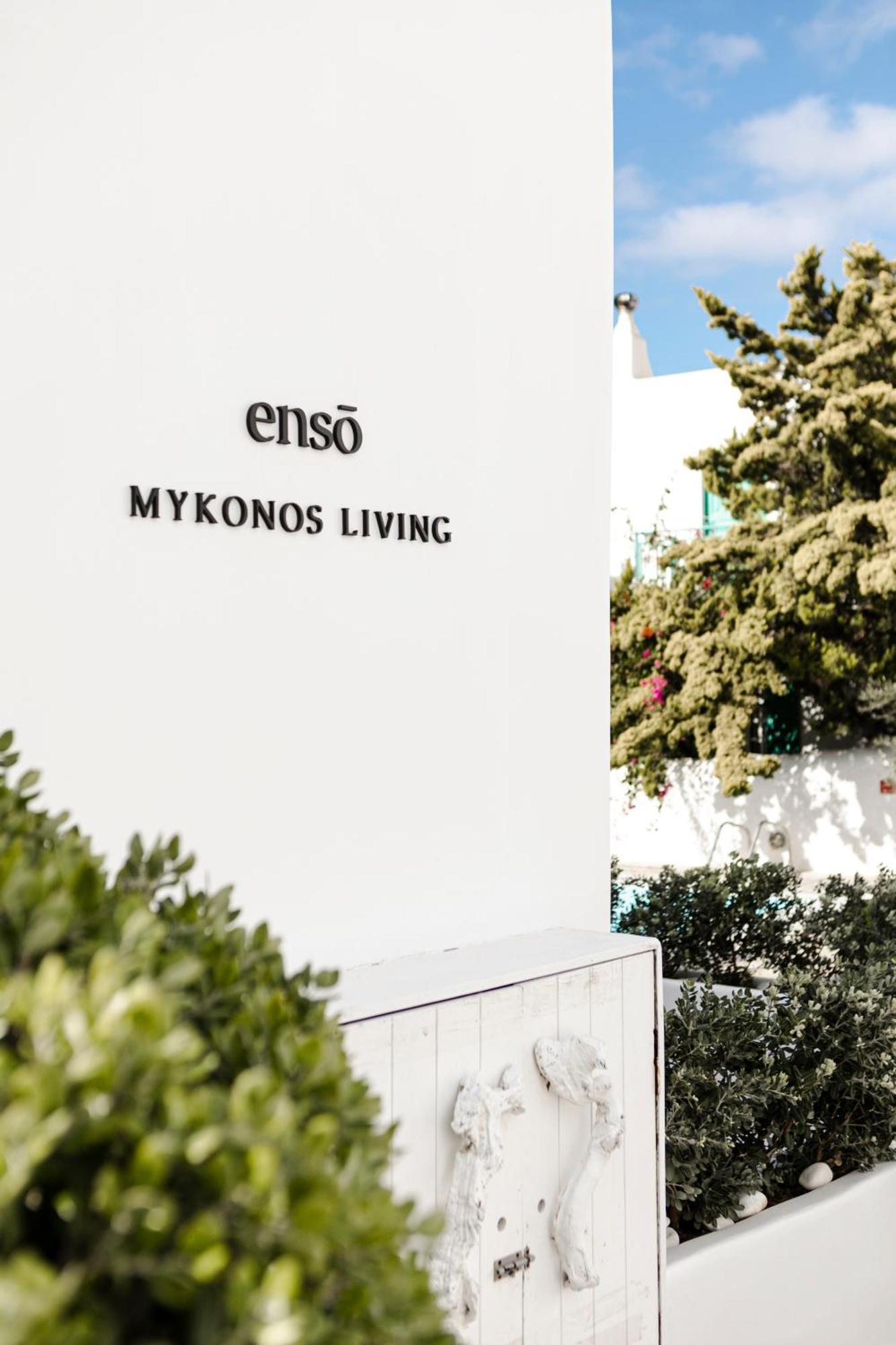 Mykonos TownEnso Mykonos Livingアパートメント エクステリア 写真